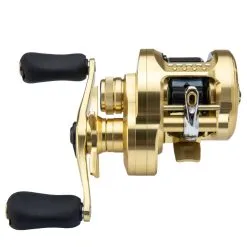 Shimano Calcutta Conquest 100HG -Ron Thompson CALCUTTA CONQUEST 100 200 A primary front 1 jpgpiFP091xbpFM8 1280x1280